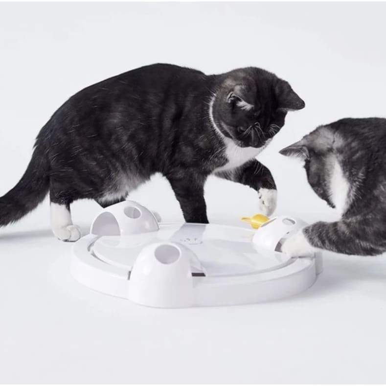 interactive mouse pounce cat toy