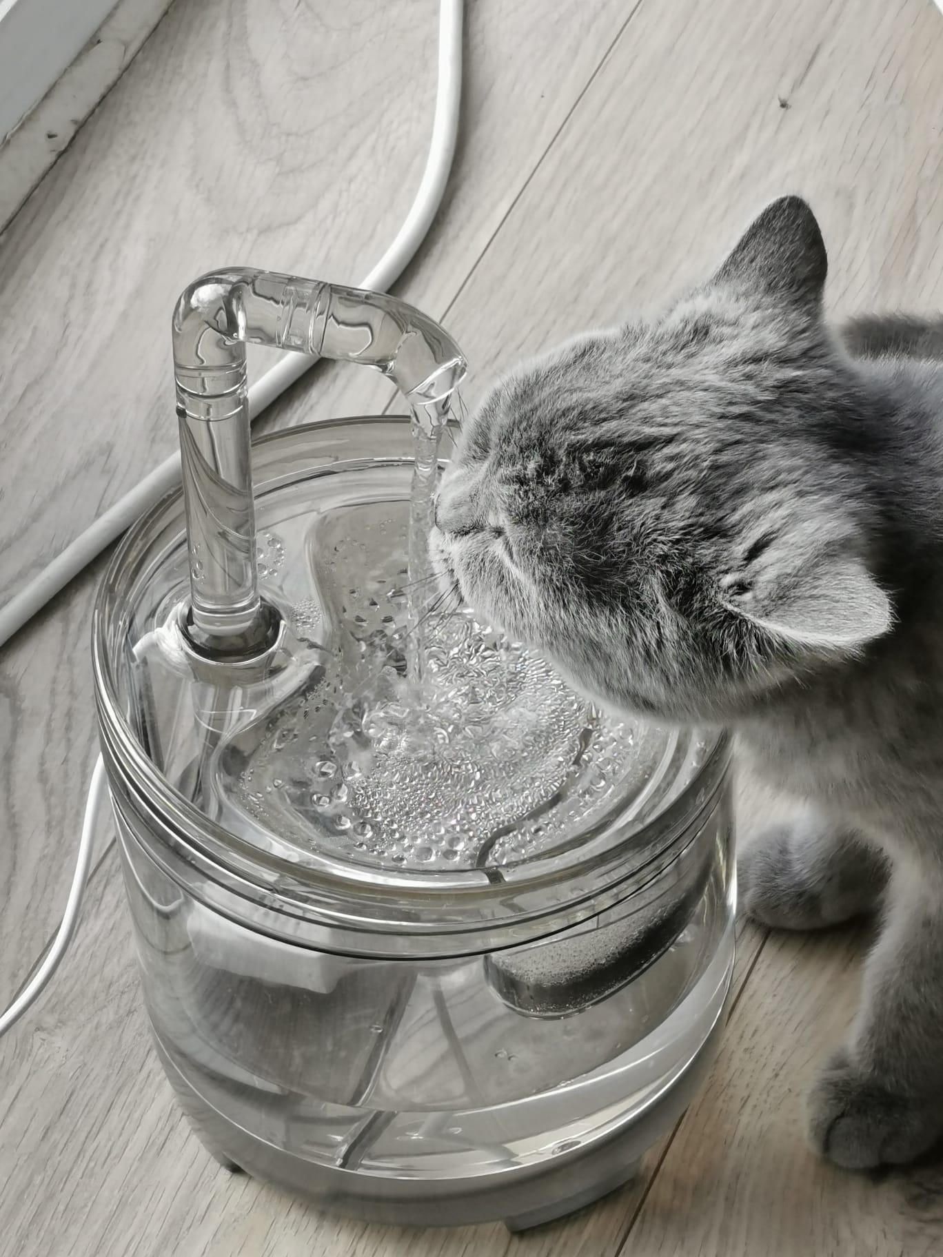 snijden Misverstand Noordoosten Stijlvolle Drinkfontein voor Katten - inclusief 2x Filters en schoonma –  Cas & Lux Project