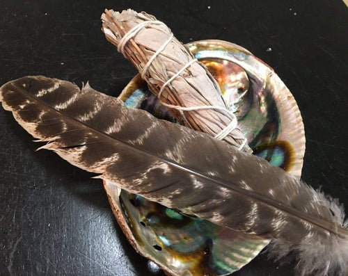 Turkey Feather-All Natural-Spiritual Feather – Regal Elements Holistic  Self-Care