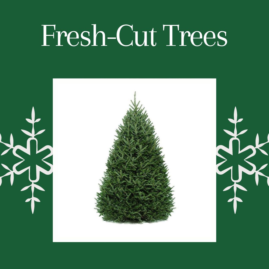 Fresh Cut Trees