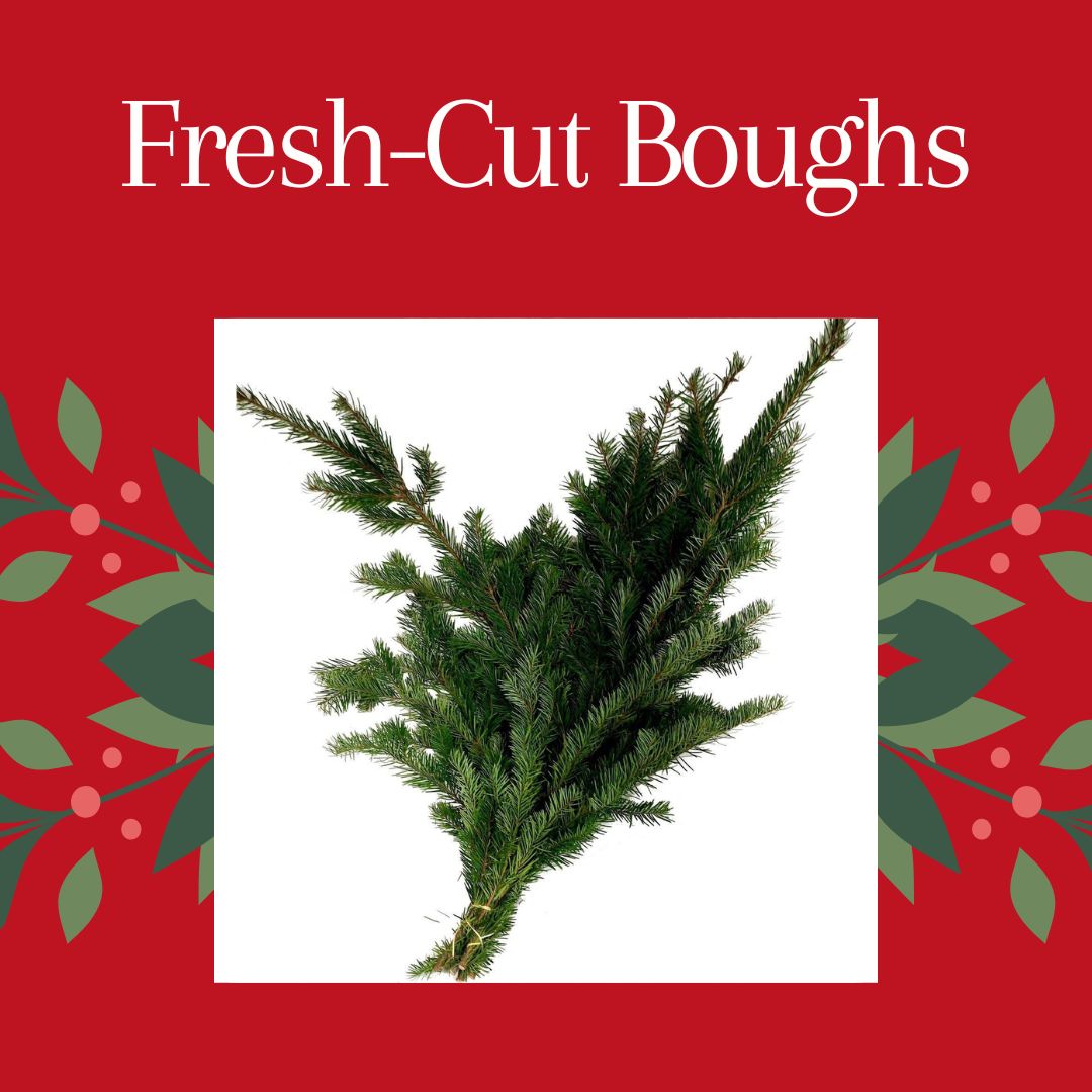 Fesh Cut Boughs & Greens