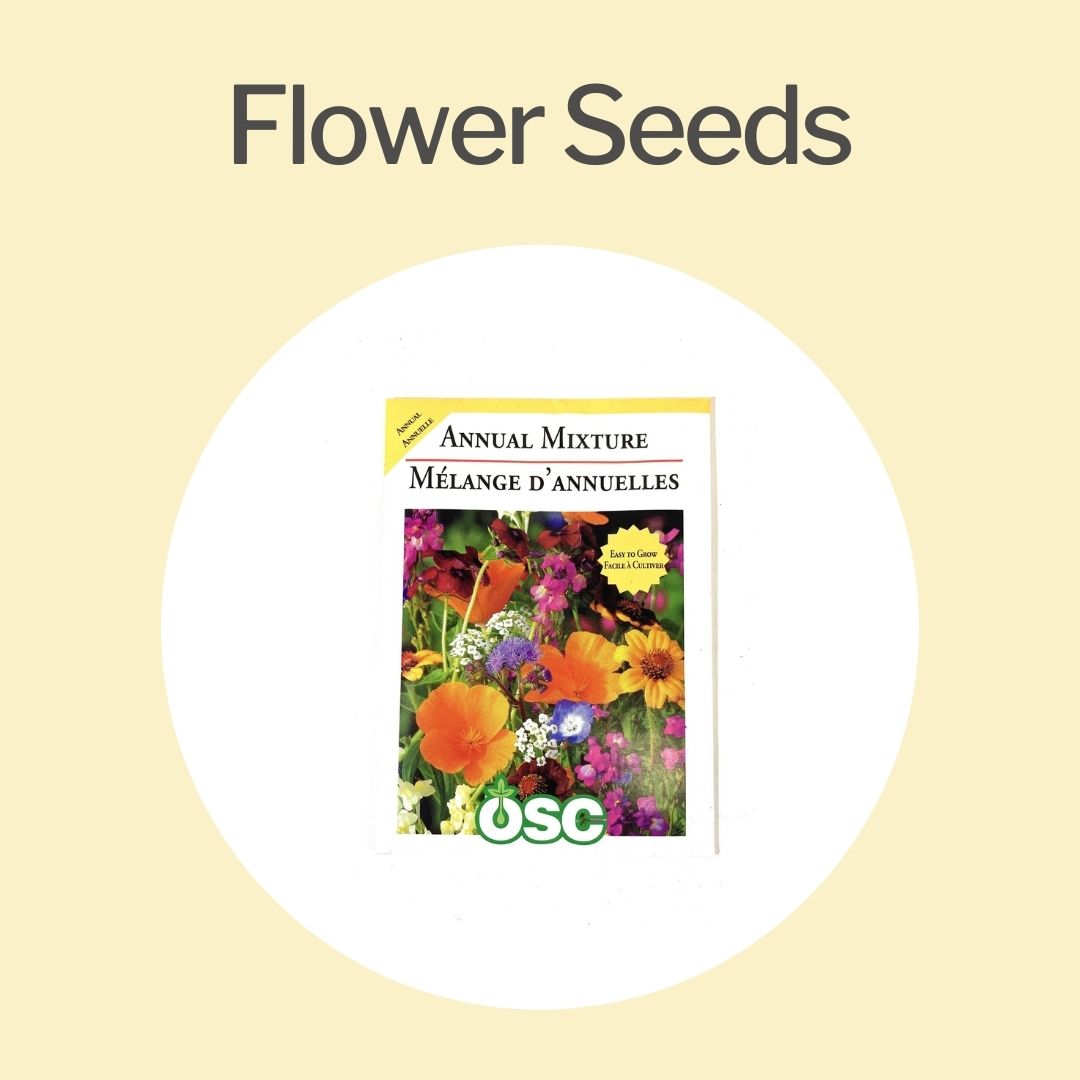 Annual & Perennial Flower Seeds