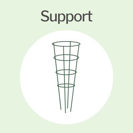 Plant Support