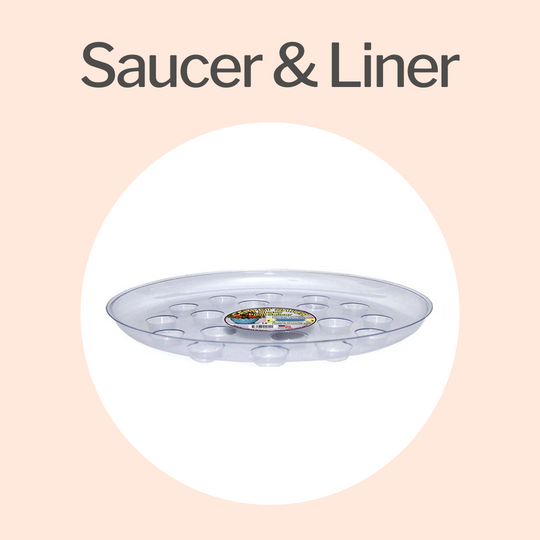 Saucers and Liners