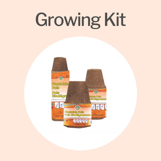 Growing Kits