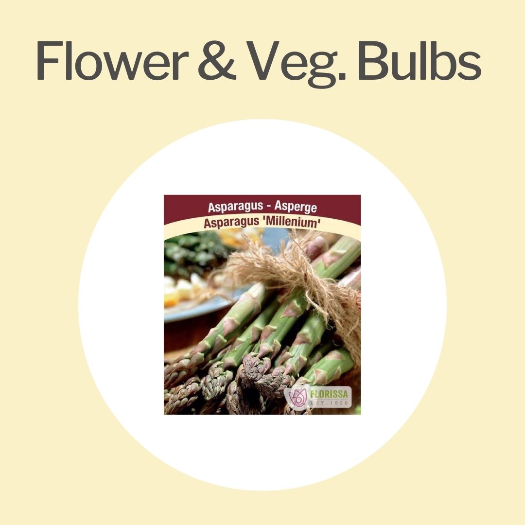 Flower & Vegetable Bulbs