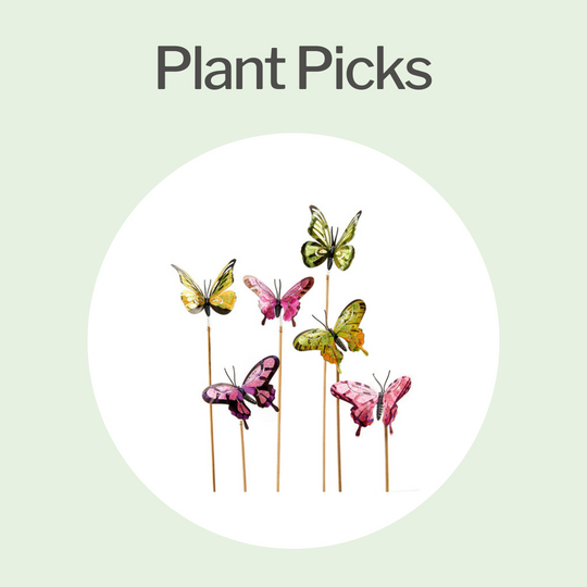 Plant Picks