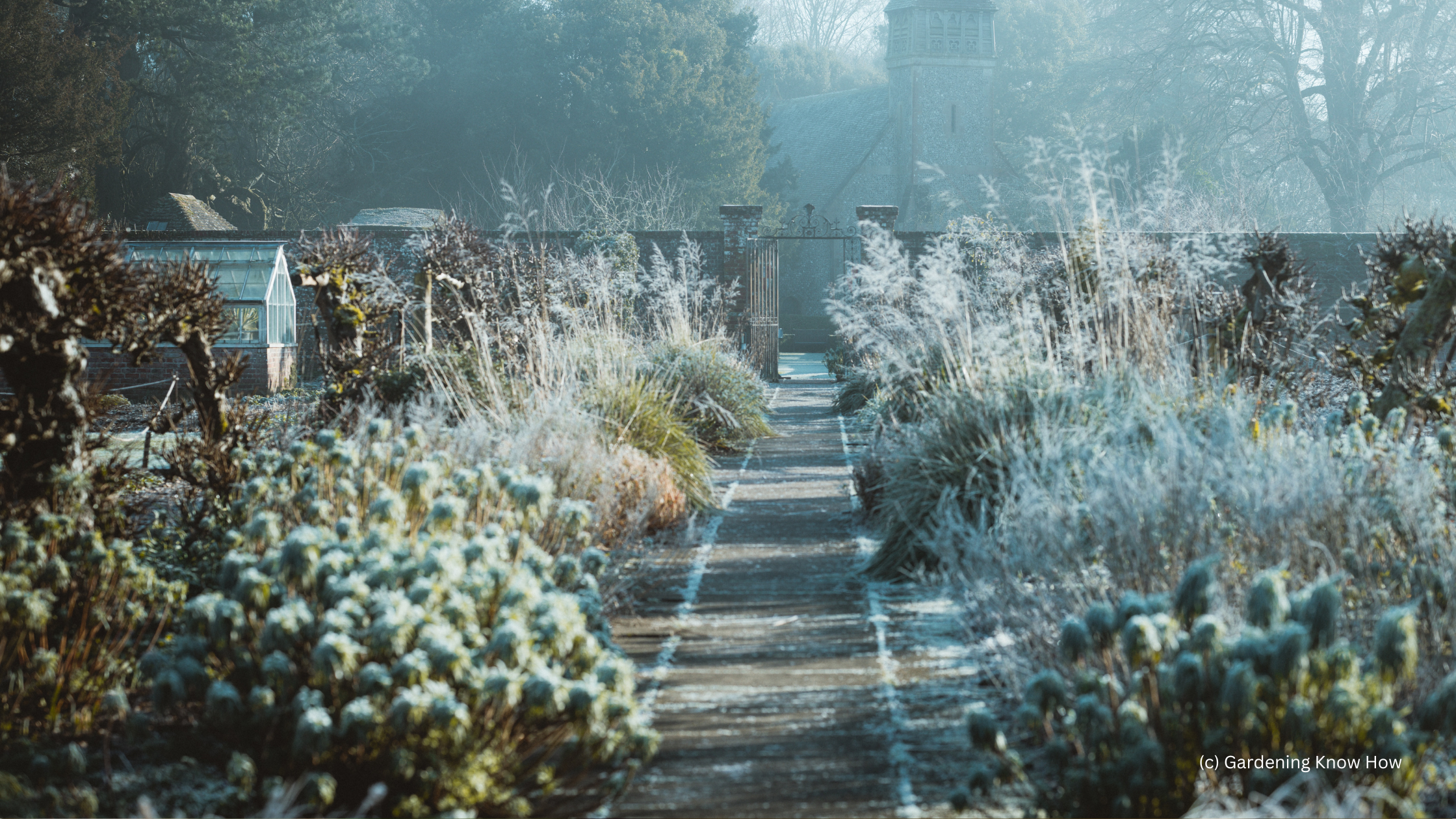 Frosty Garden