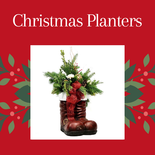 Christmas Pots and Planters