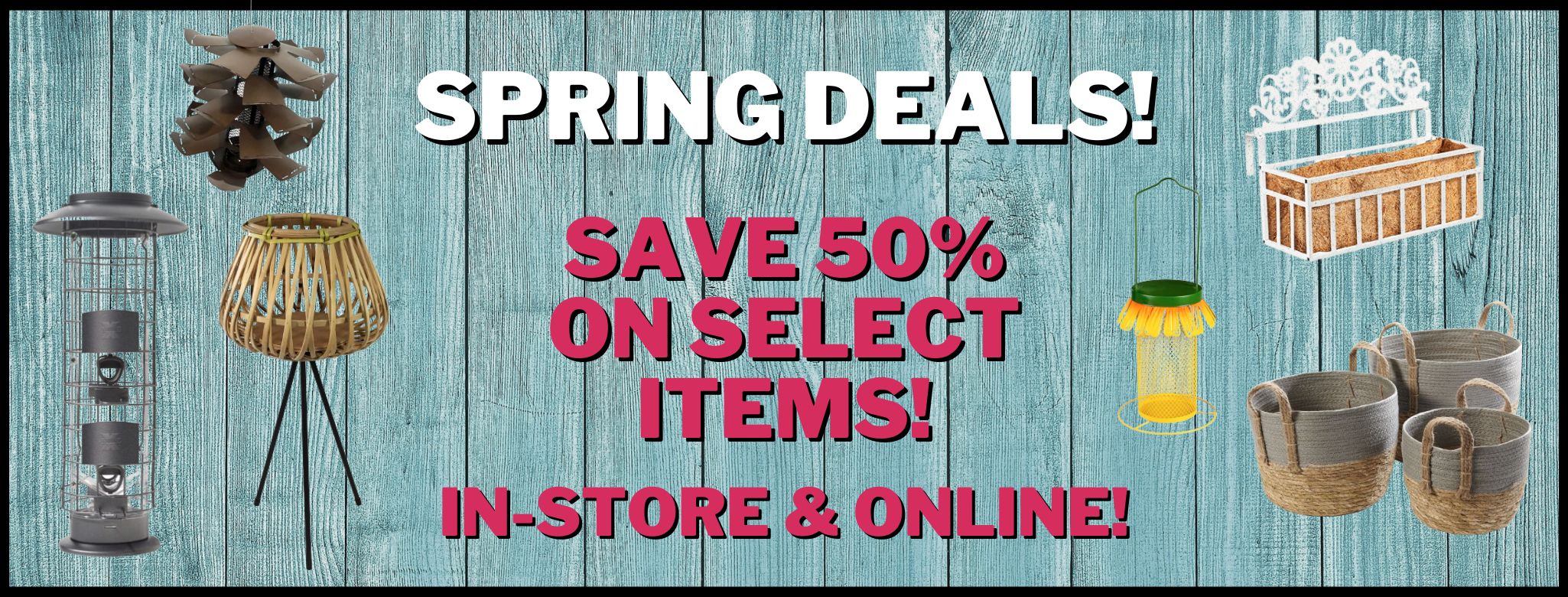 Save 50% on Spring Deals!