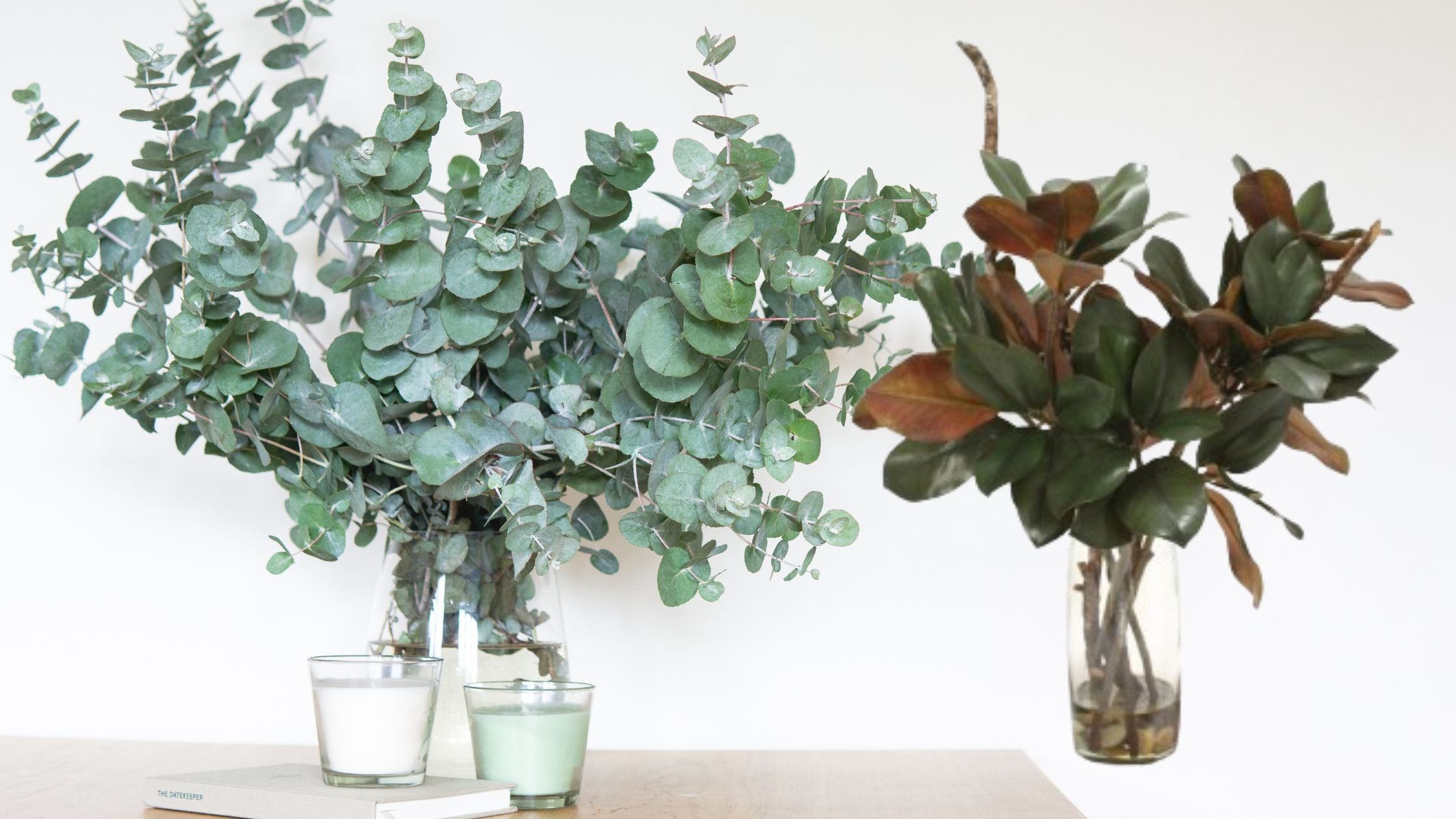 Eucalyptus and Magnolia in water