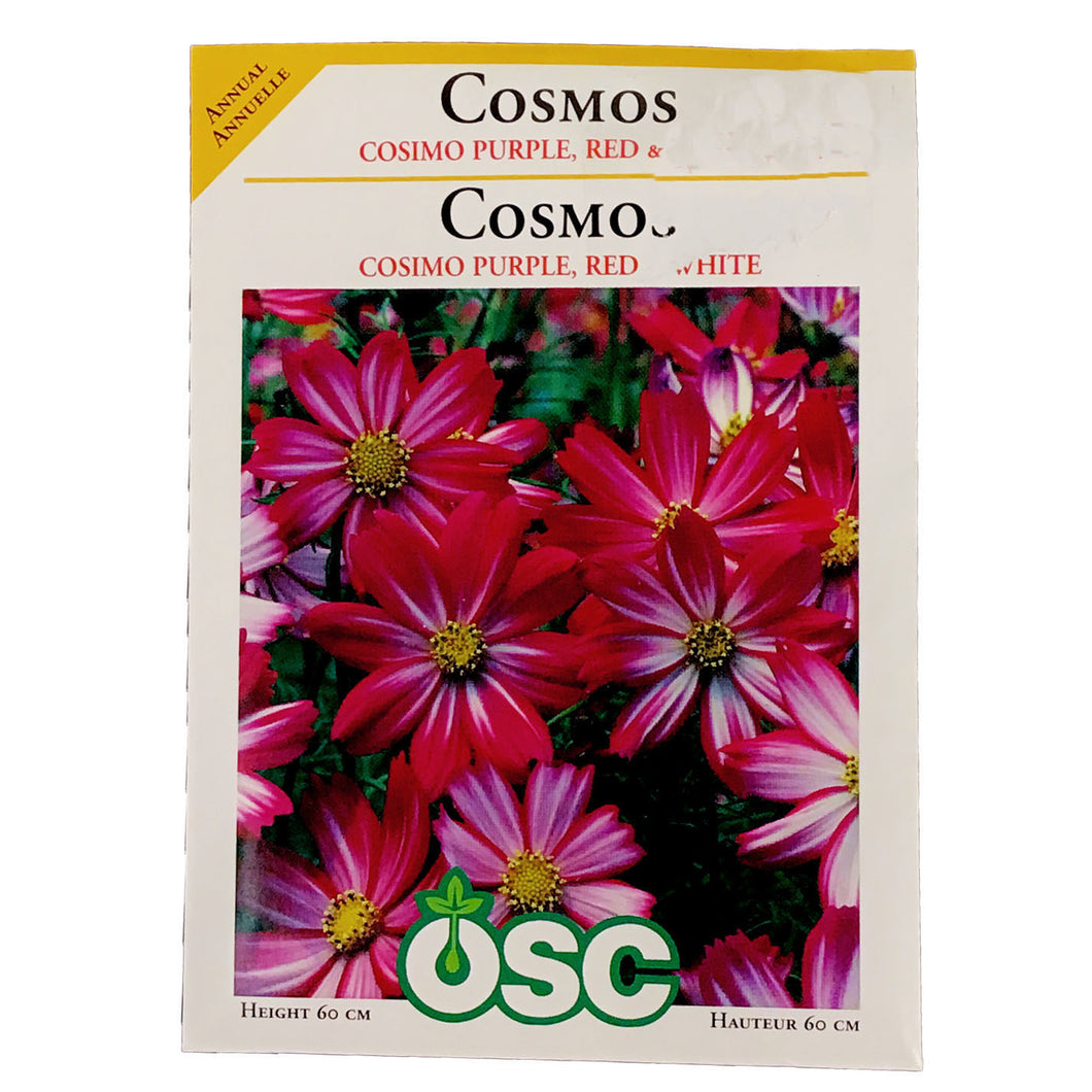 Cosmos - Cosimo Seeds, OSC – Floral Acres Greenhouse & Garden Centre