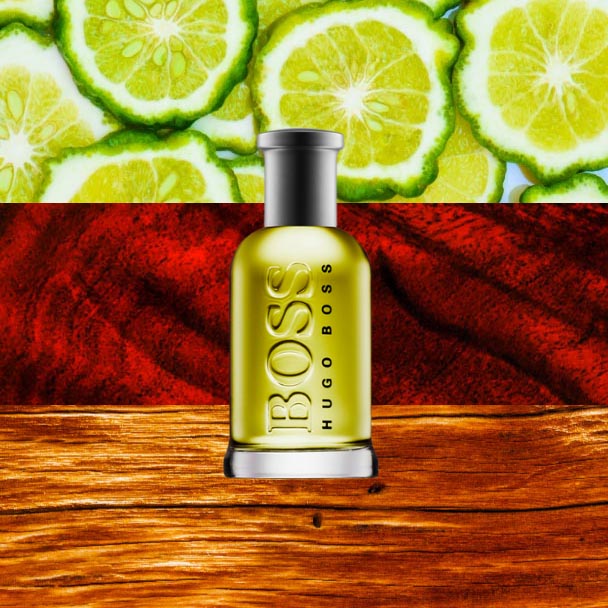 Hugo Boss Aftershave BOSS Bottled - Splash (50ml)