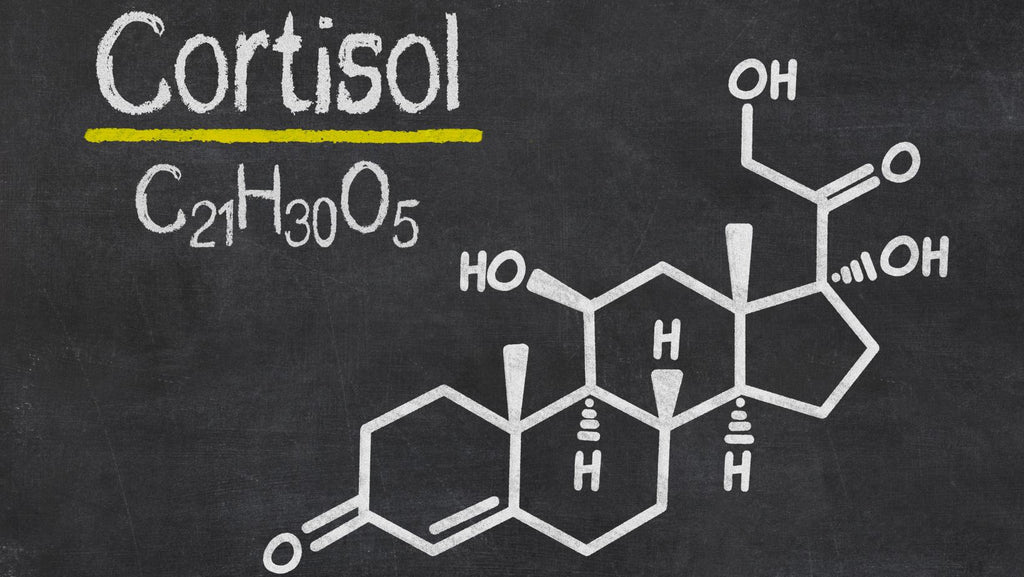 How To Lower Cortisol Levels Naturally