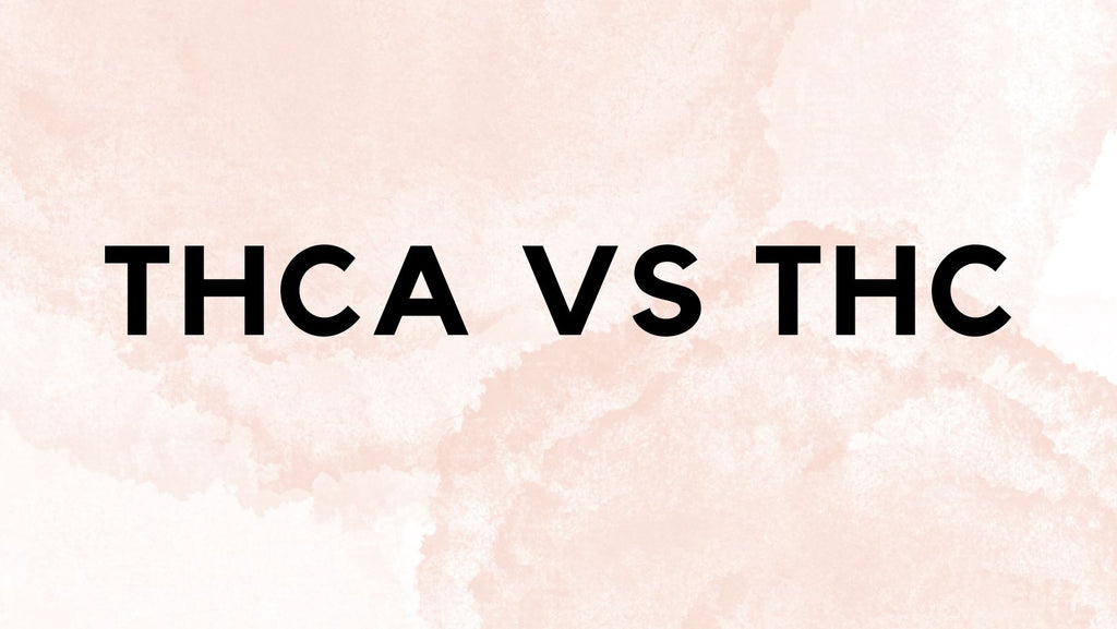 thca vs thc