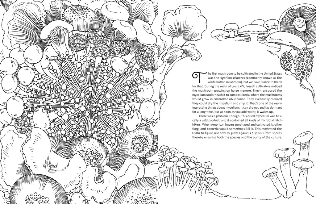 Download Fantastic Fungi The Coloring Book Insight Editions