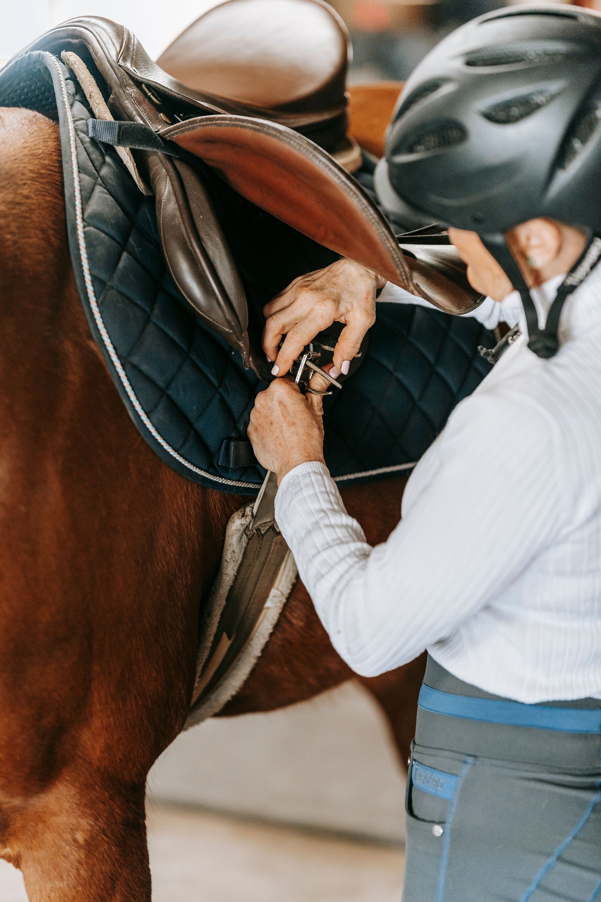 Graisse pour cuir bio hydrofuge et hydratante Zedan - Entretien cuir  équitation - Zedan - Le Paturon