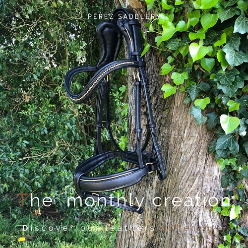 The monthly creation  Radermecker - Perez Saddlery