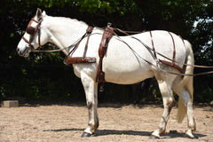 Driving harness made by Cannelle Collet Bourrellerie & Maréchalerie