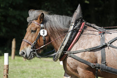 Coller d’attelage pour cheval de trait