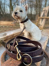 leather dog collar made by Sellerie Sophie Personeni