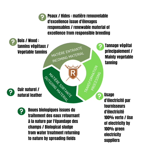 Economie circulaire, production du cuir Radermecker