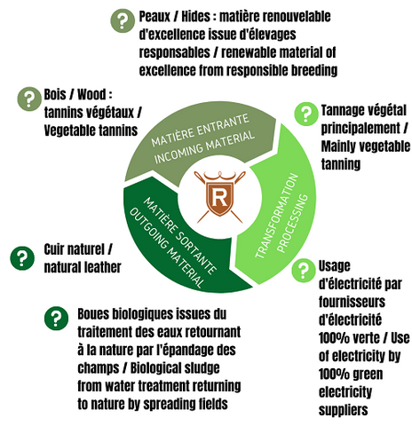 leather production circular economy Radermecker Tannery