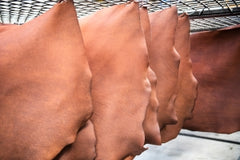Production du cuir sellier pleine fleur au sein de la Tannerie Radermecker