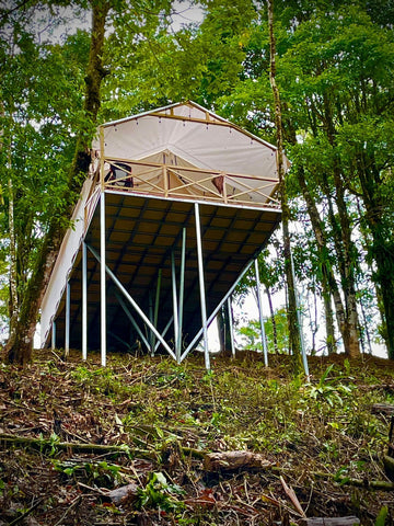 Wall Tent on Elevated Platform