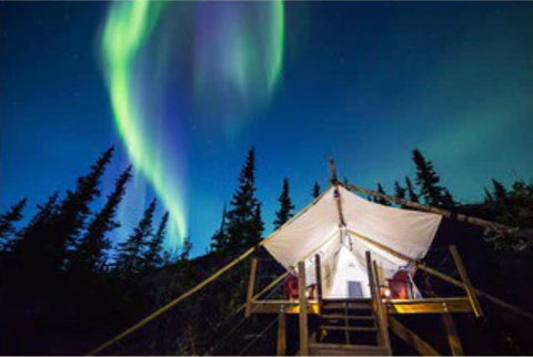 Canvas Tent with Northern Lights