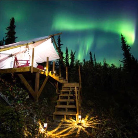 Tent with Northern Lights