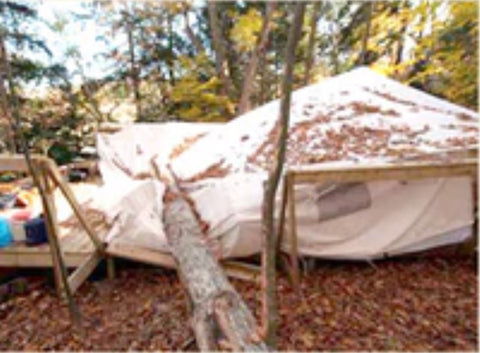 Tent with fallen tree on it