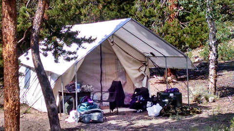 Canvas Tent near Trees