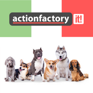 Action-factory store logo