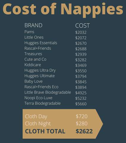 Kekoa cost of disposable nappies versus vs cloth nappies diaper modern cloth nappy
