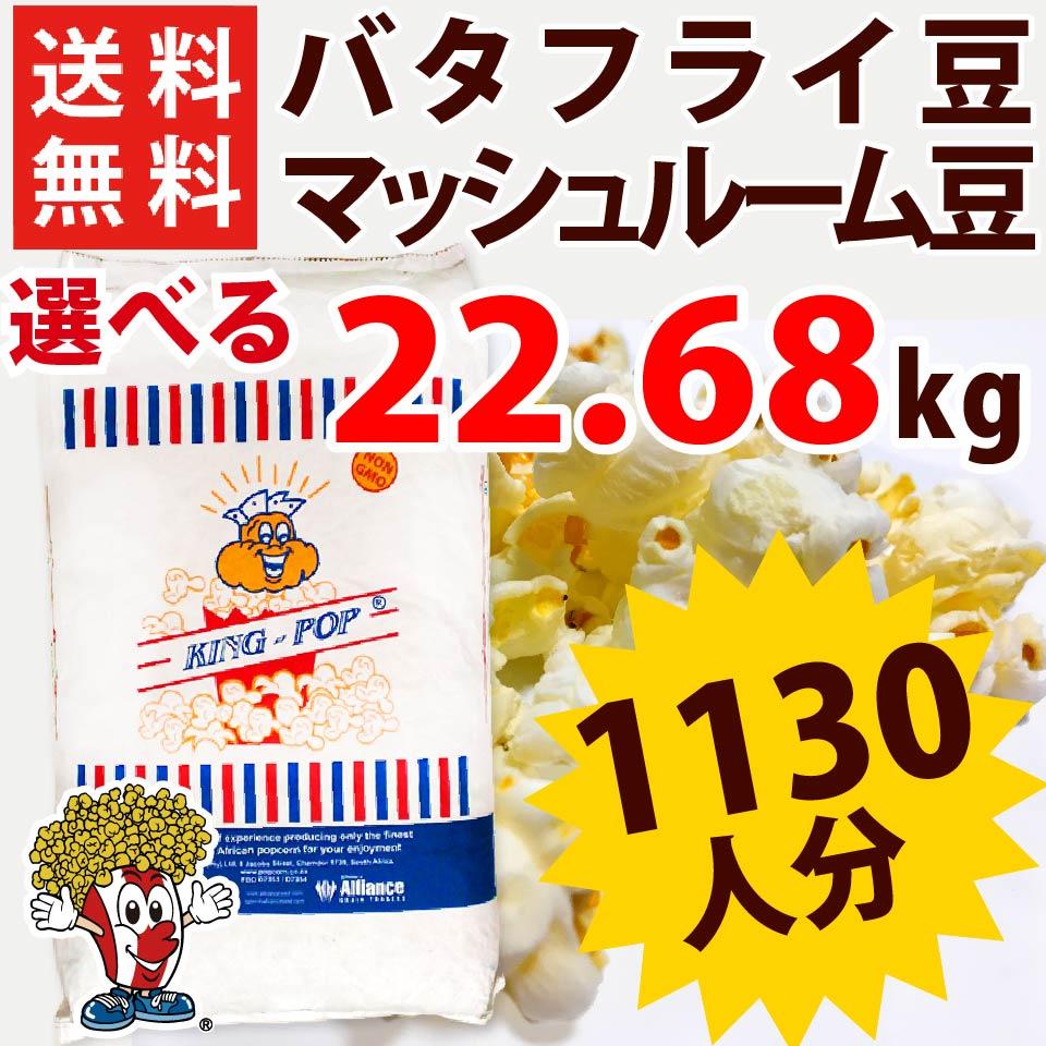 今ならポップちゃんポップコーンココナッツオイル 60g バター風味 10袋付き 送料無料 ポップコーン豆 King 22 68kg 2種 ポップコーンショップfesco