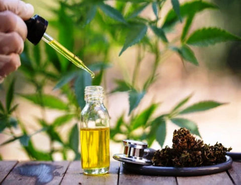 where-can-i-buy-cbd-oil-in-india-a-quick-guide-from-cbd-shop-of-india