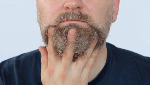 beard oil men's skincare