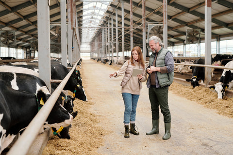 Prevent Flies From Cattle Food