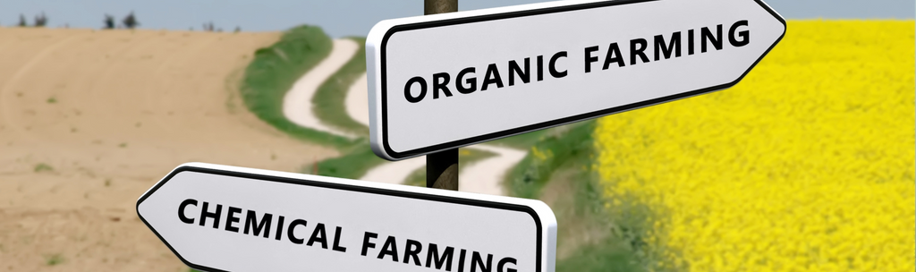 Organic Farming - Better For The Planet - My Baby Organics Australia