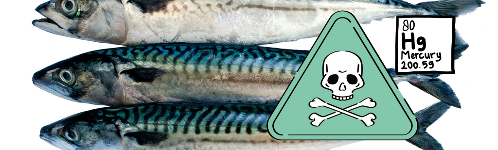 Toxic mercury in mackerel