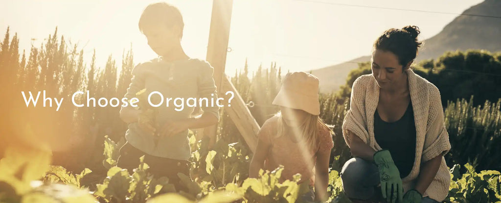 Healthy Organic Family Why Choose Organic Blog My Baby Organics Australia