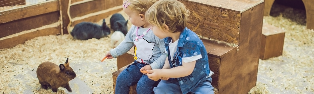 Children at Zoo - My Baby Organics Australia