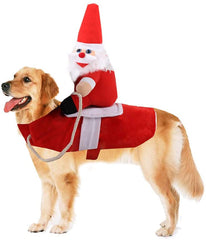 Dog Costume like Horse with Santa Riding on Dog Back