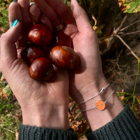 Hands holding acorns and wearing orange Pog bracelet