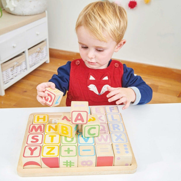 le toy van abc wooden blocks