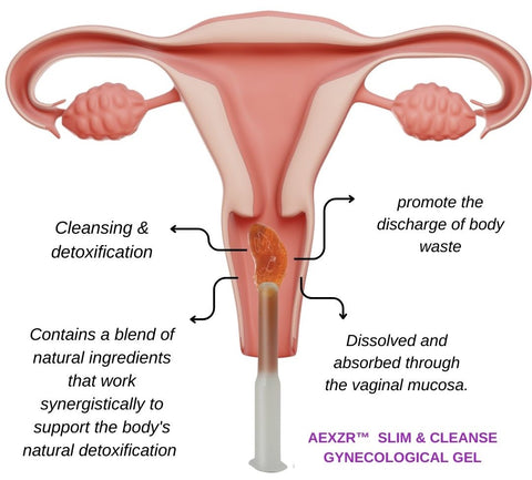 EELHOE™ Slim & Cleanse Gynecological Gel