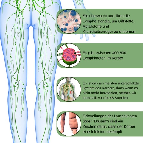 SlimTech™ LymphDrainage Bein-Massagegerät 