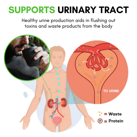 UriCleanse™ Kidney Care Tea