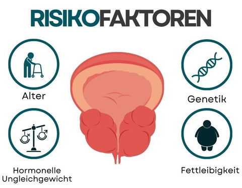 Klip Prostata-Pflegepunkt AcuPlus™